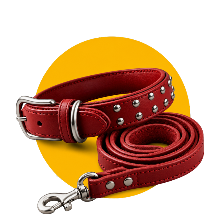 ACESSORIOS PARA PET