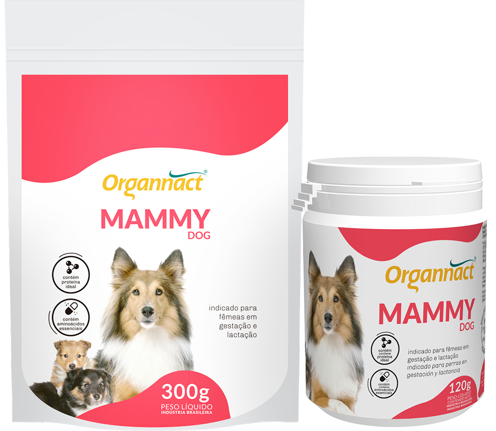 Mammy Dog — Organnact