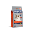 Billy Cat Select Premium Gatos Sabor Salmão 10,1kg
